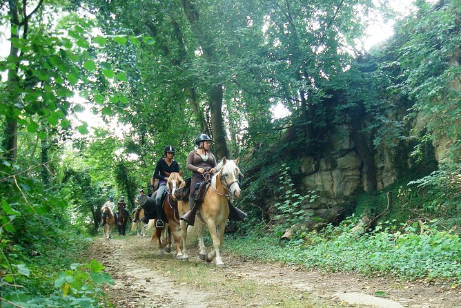Horse Riding in the French Countryside - Safety Gear and Refreshments Provided
