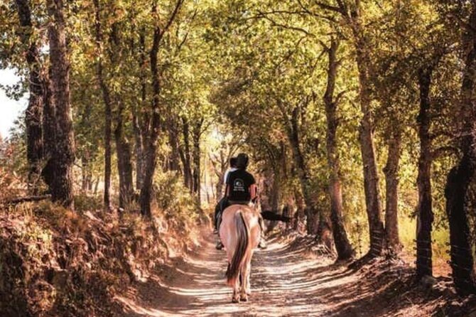 Horse Riding in the Vineyards of Grimaud Wine Tasting - Cancellation Policy