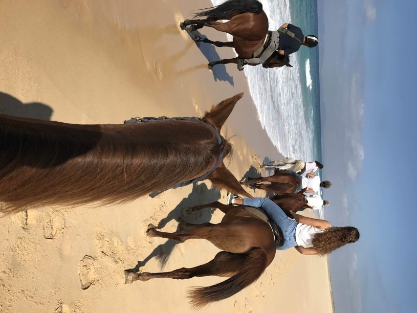 Horse Riding on the Beach With Private Transfer From Lisbon - Experience Itinerary