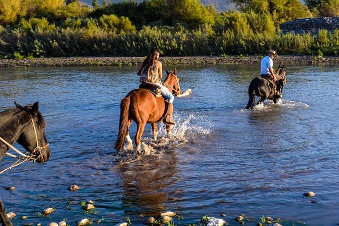 Horseback Private Wine Tour and Country Grill From Santiago - Cancellation Policy