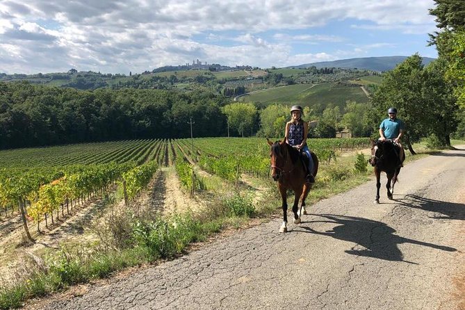 Horseback Ride in S.Gimignano With Tuscan Lunch Chianti Tasting - Customer Feedback
