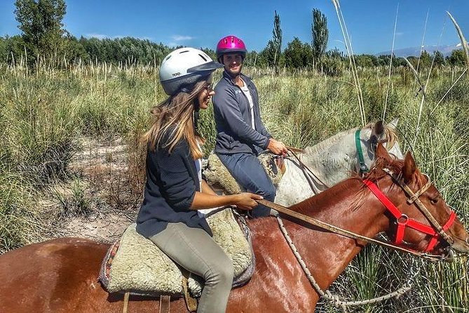 Horseback Ride Through Vineyards Followed by Gourmet Lunch - Customer Reviews
