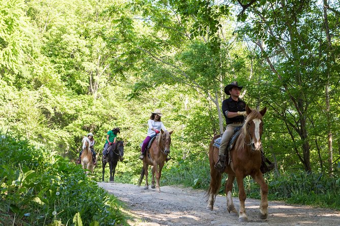 Horseback-Riding in a Country Side in Sapporo - Private Transfer Is Included - Why Choose This Horseback-Riding Tour