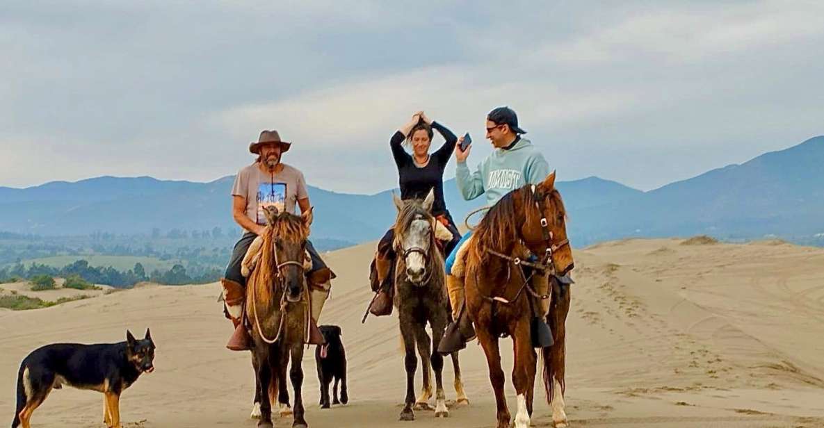 Horseback Riding, Penguins, Winery, Alpacas & Cowboy BBQ - Experience Highlights