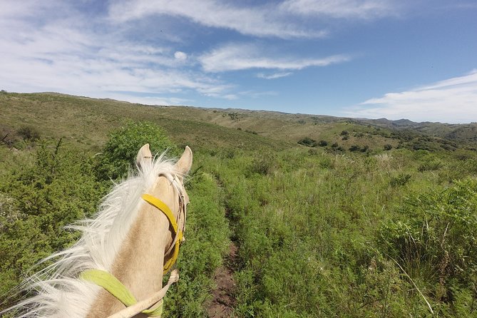 Horseback Riding Through the Sierras - Best Time to Visit