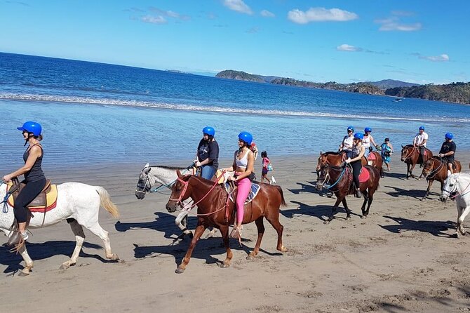 Horseback Riding to Conchal Beach - Traveler Feedback and Reviews