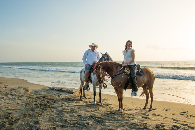 Horseback Riding Tour in Beach of Cartagena - Guest Feedback