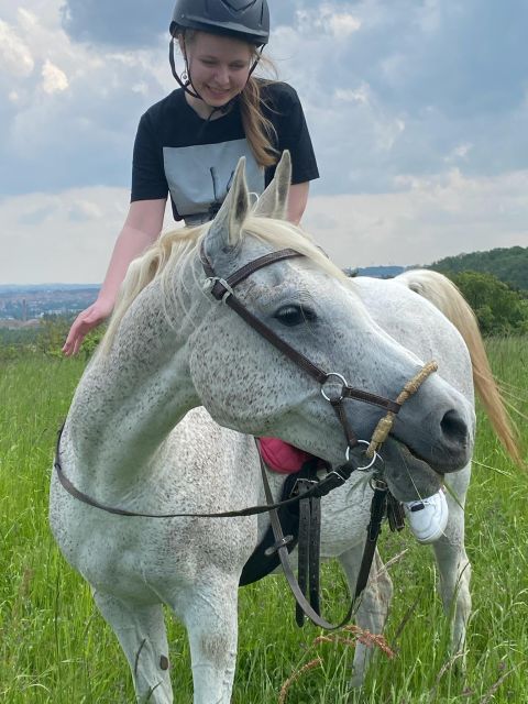 Horseback Riding Tour Near Prague - Tour Highlights and Animal Welfare