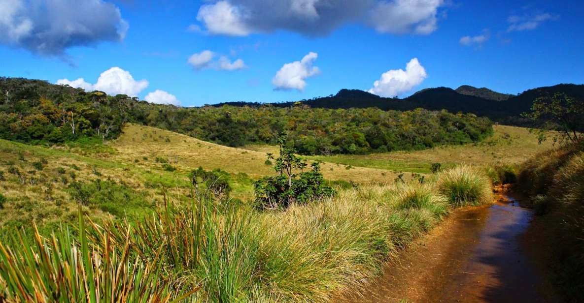 Horton Plains National Park Tour & Scenic Train Ride - Experience Highlights in Horton Plains