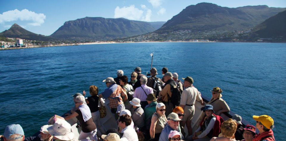 Hout Bay: Duiker Island Seal Colony Cruise - Booking Information