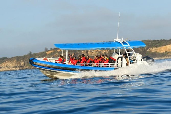 Hunter Coastal Adventure Tour by Boat From Newcastle - Meeting and Pickup Details