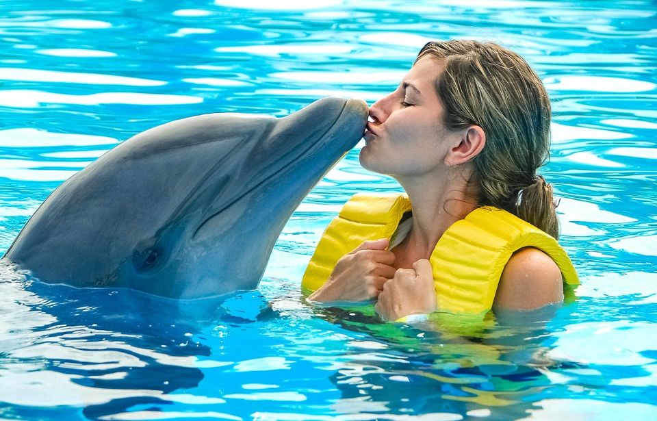 Hurghada: 1-Hour Show at Dolphin World With Optional Pickup - Experience Highlights