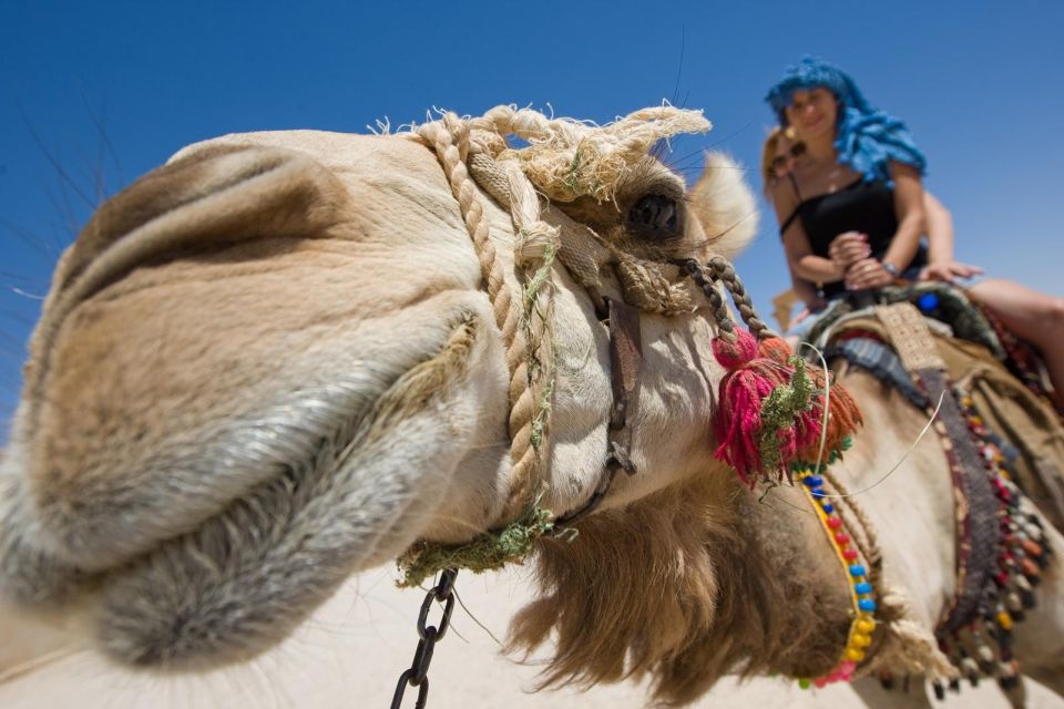 Hurghada: Bedouin Dinner & Show With ATV, Jeep, Buggy Rides - Pickup and Drop-off