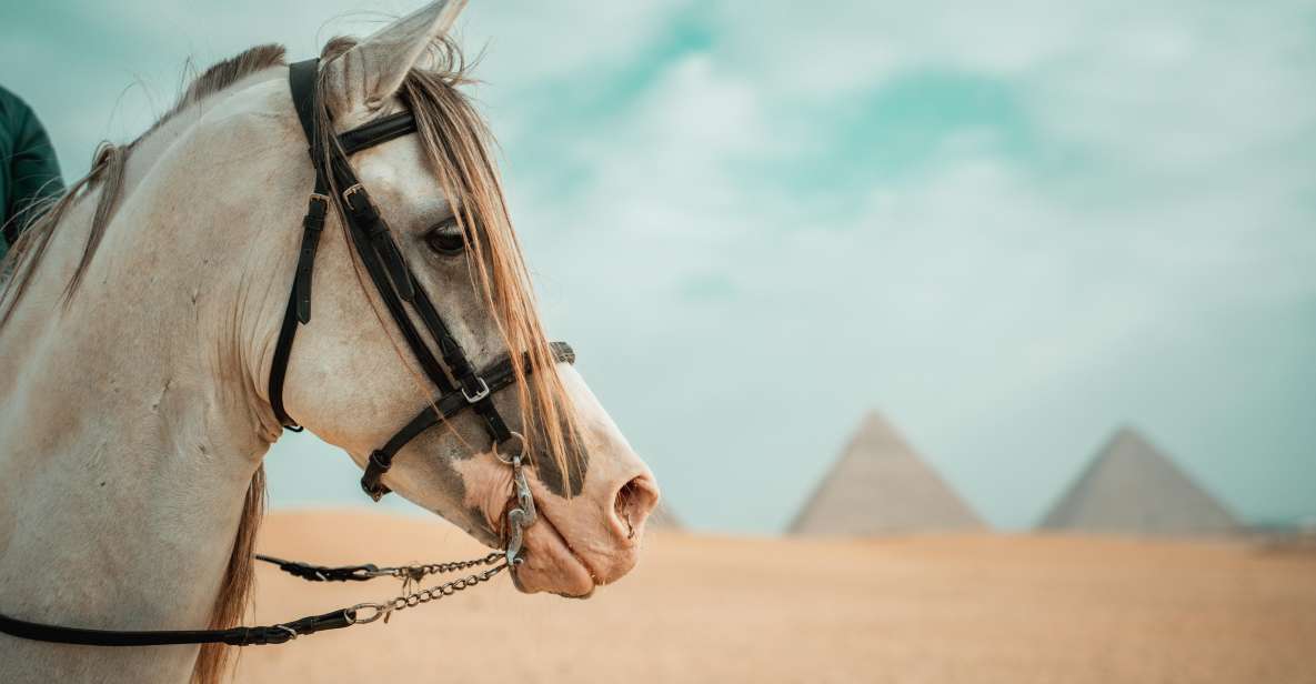 Hurghada: Cairo Day Trip With Horse Ride Along Giza Pyramids - Experience Highlights