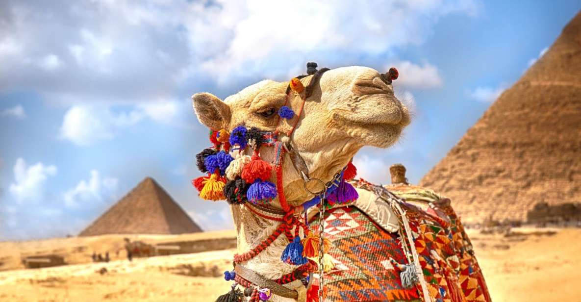 Hurghada: Camel Ride Along Pyramids of Giza & Cairo Museum - Tour Highlights