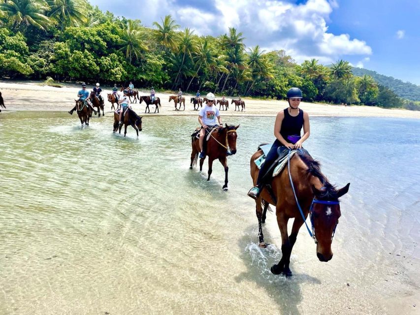 Hurghada: Desert and Sea Horseback Riding Tour With Transfer - Experience Highlights