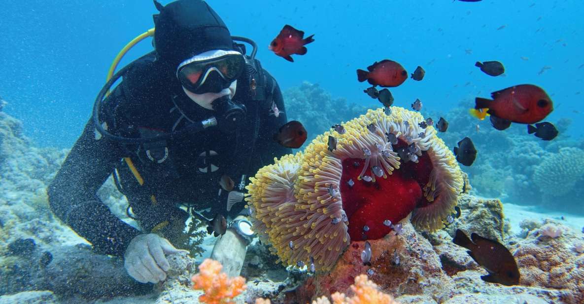 Hurghada: Diving and Snorkeling Tour With Transfers - Instructor and Pickup