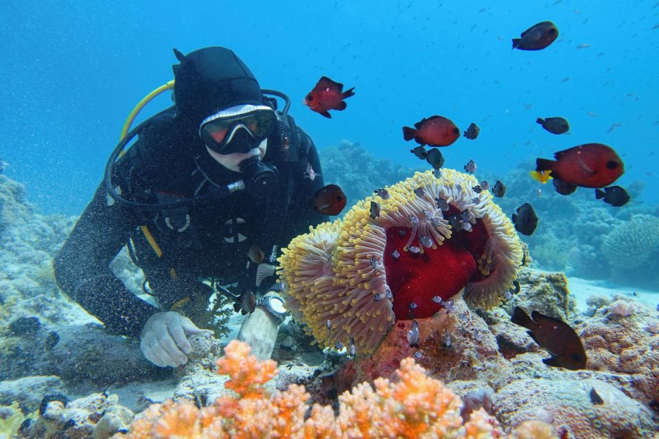 Hurghada: Diving and Snorkeling Tour With Transfers - Instructor and Pickup