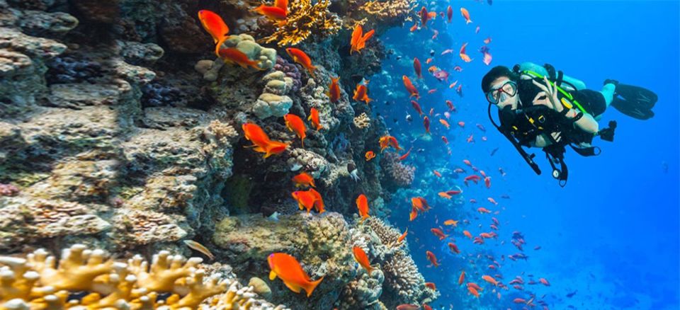 Hurghada: Diving & Snorkeling Cruise Tour W Lunch & Drinks - Exciting Diving Experience in Hurghada