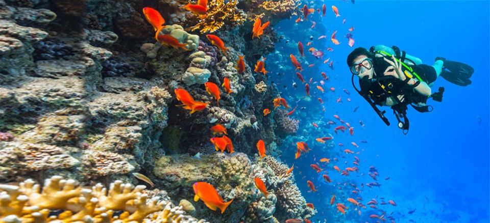 Hurghada: Diving & Snorkeling Cruise Tour W Lunch & Drinks - Experience Overview