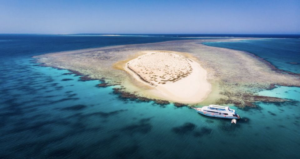 Hurghada: Dolphin Watching Private Yacht & Island Tour - Activity Highlights