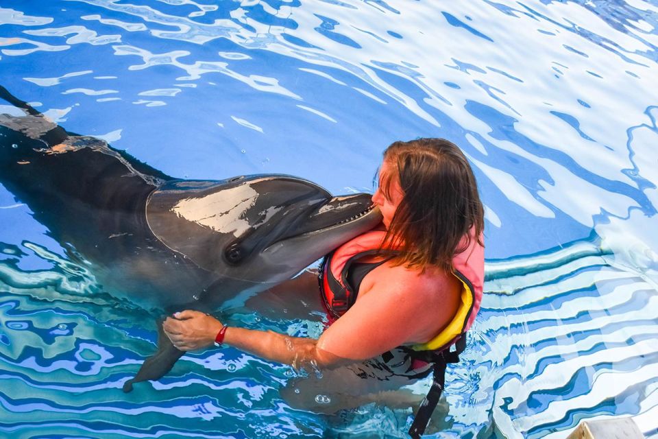 Hurghada: Dolphin World Family Swimming With Pickup - Experience Highlights at Dolphin World