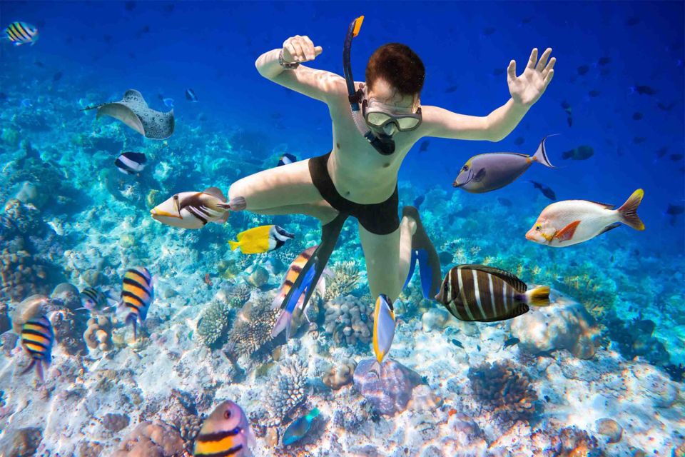 Hurghada: Giftun Island Snorkelling Trip With Lunch - Experience Highlights