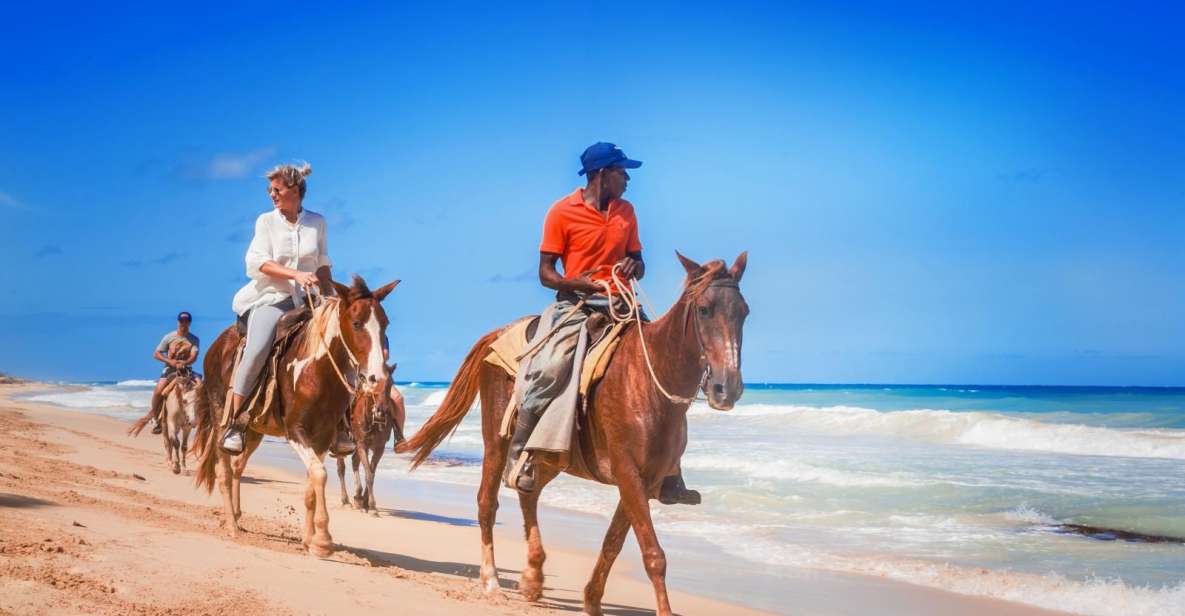Hurghada: Horse Ride Along the Sea & Desert With Transfers - Activity Information and Inclusions