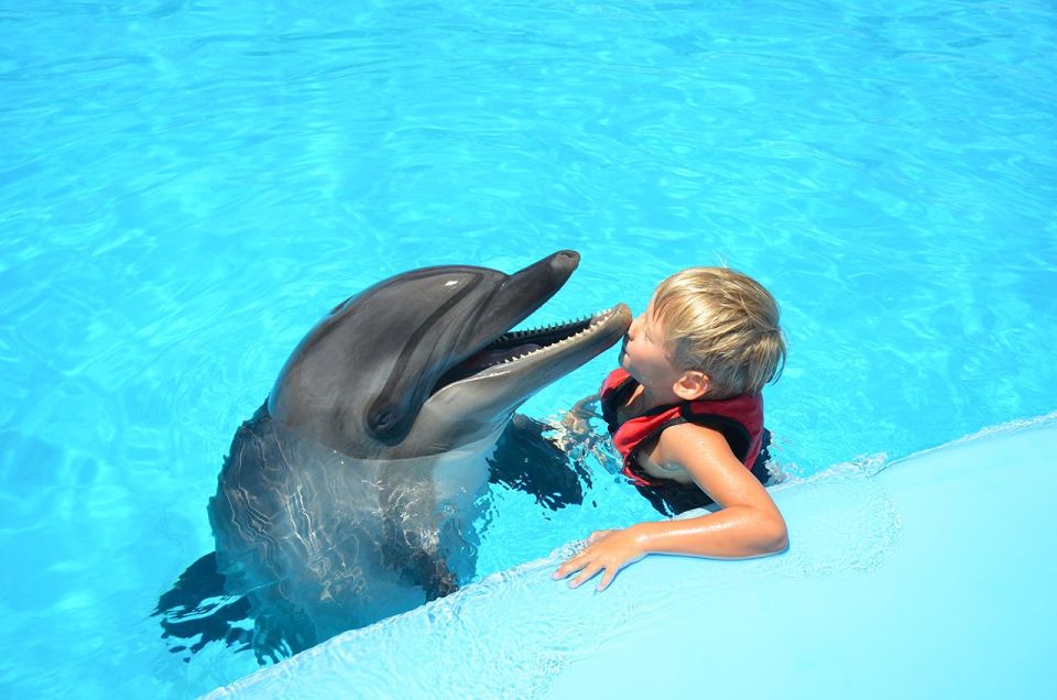 Hurghada/Safaga: Dolphin World Photo Session With Transfers - Experience Highlights