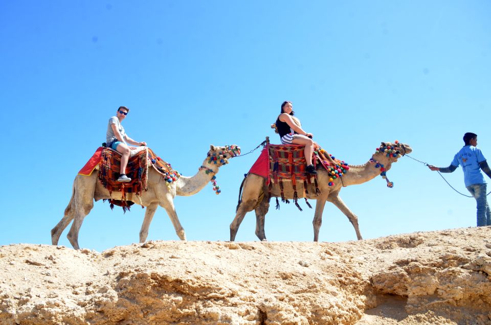 Hurghada: Sea & Desert Camel Ride W/Dinner, Show, Stargazing - Tour Highlights