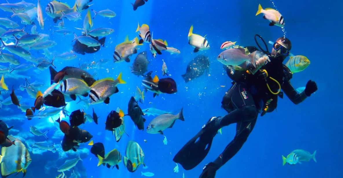 Hurghada: Snorkel, Dive, Parasail & Orange Island W/ Lunch - Booking Information