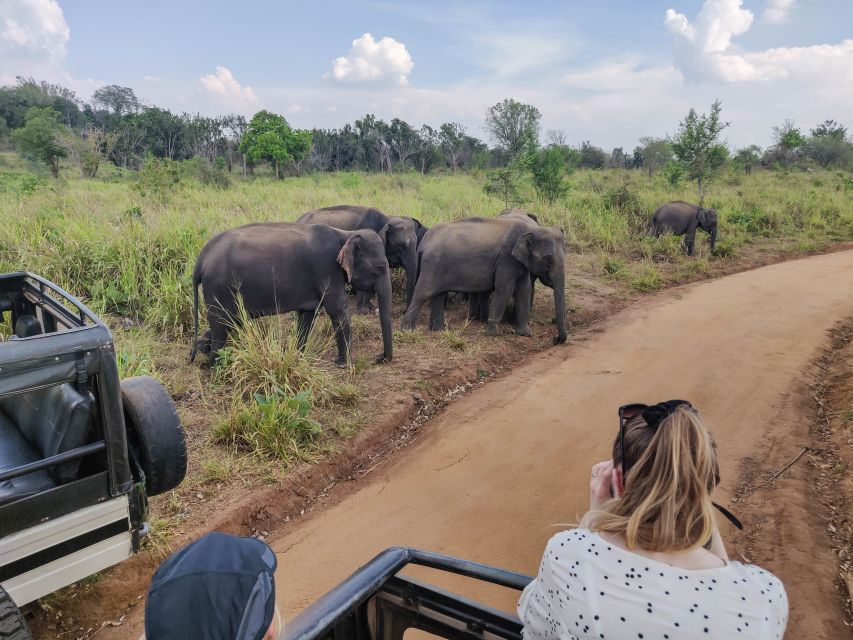 Hurulu Eco Park: 3-Hour Morning or Evening Safari - Safari Experience and Wildlife Encounters