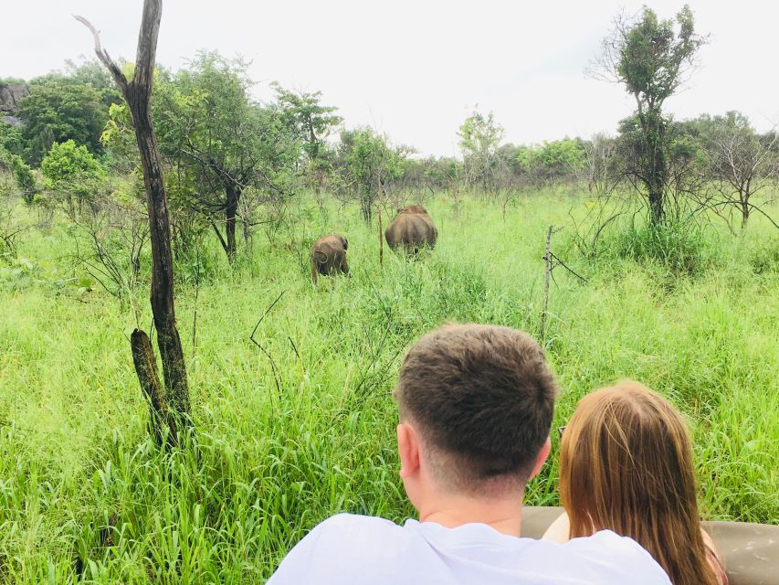 Hurulu National Park Safari Minneriya - Experience Highlights