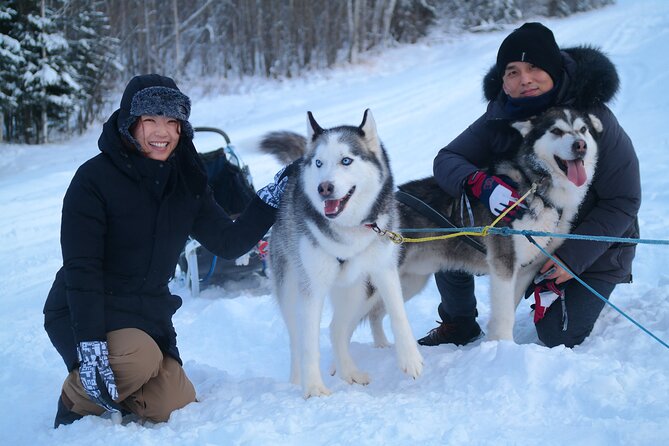Husky Dog Sledding & Mushing With Pick up and Photo Service in Fairbanks, Alaska - Pricing and Policies