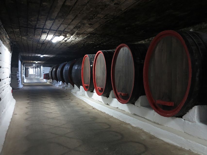 Iasi: Cricova Winery, Chisinau City Tour and Capriana - Chisinau City Tour Highlights