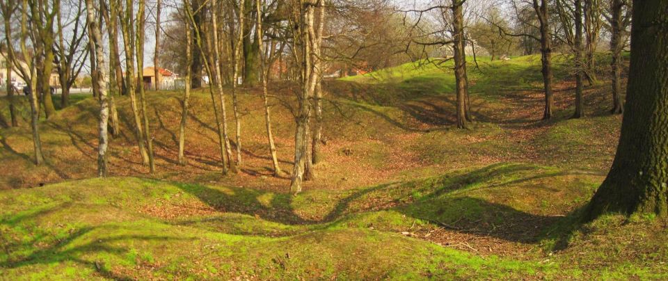 Ieper-Ypres: Guided WW1 Private Tour Around Ypres - Experience