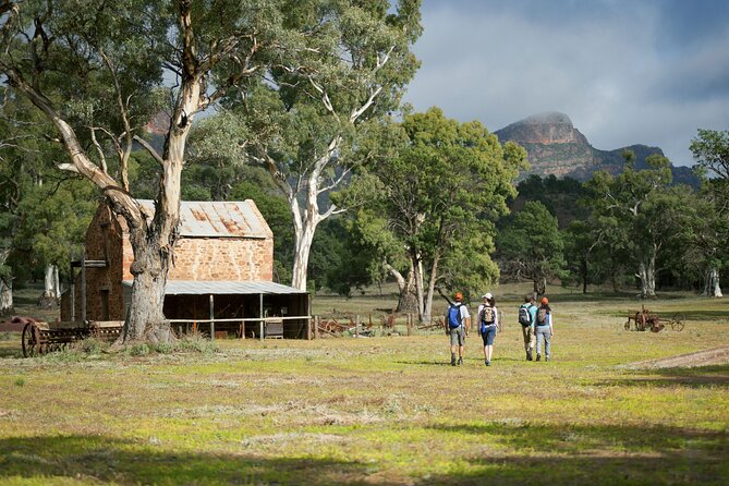 Ikara-Flinders Ranges Hiking Tour - 5 Days - Accommodation and Meals Included