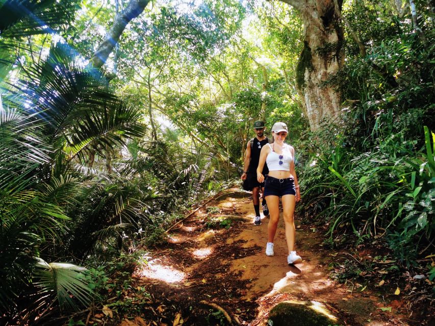 Ilha Grande: Lopes Mendes Private Hiking Tour - Experience Highlights