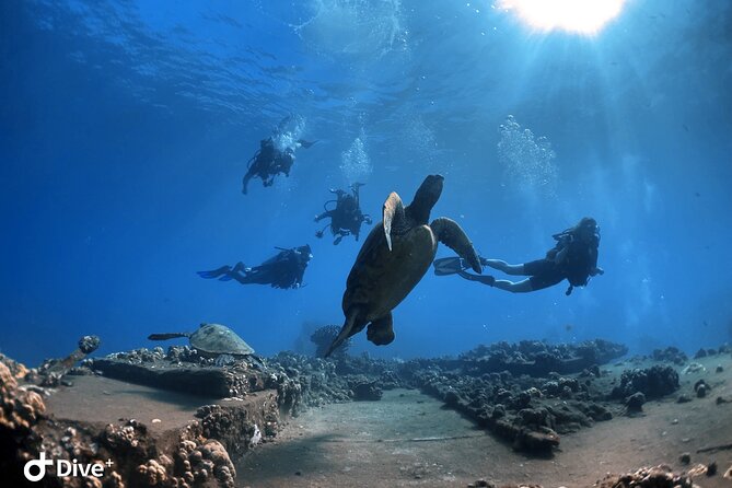 Intro to Scuba Diving in Kaanapali - Initial Dive With Instructor