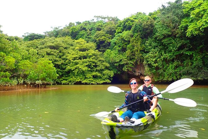 [Ishigaki]Mangrove SUP/Canoe Blue Cave Snorkeling - Participant Requirements