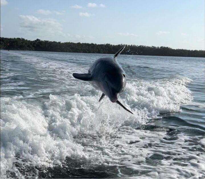 Islamorada: Multi-Activity Private Boat Charter - Experience Highlights