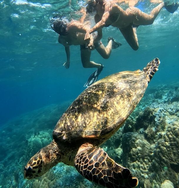 Island Hopping Gili Asahan, Gede, Rengit, Layar & Goleng - Booking Information for the Experience