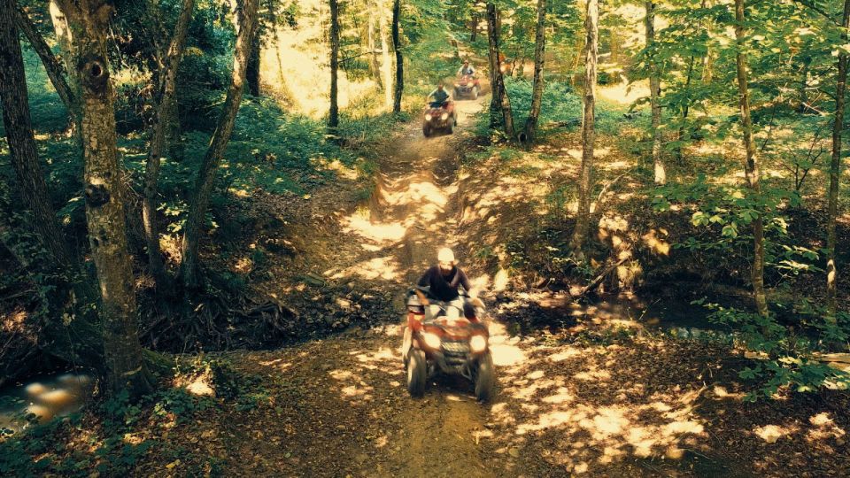 Istanbul: Belgrad Forest ATV Tour With Ziplining Option - Experience Highlights