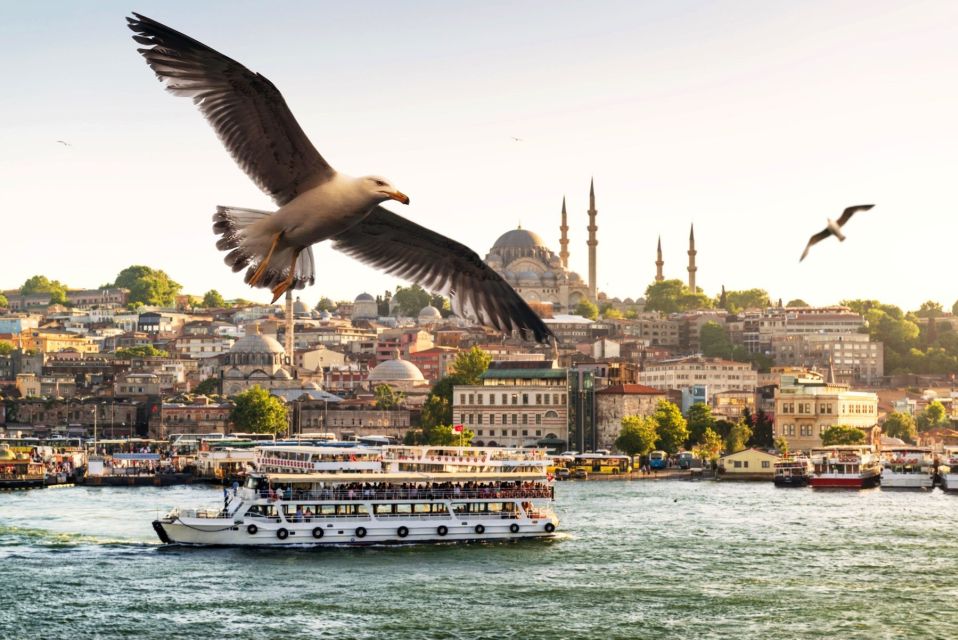 Istanbul: True Discovery Full-Day Tour and Cruise - Experience Highlights