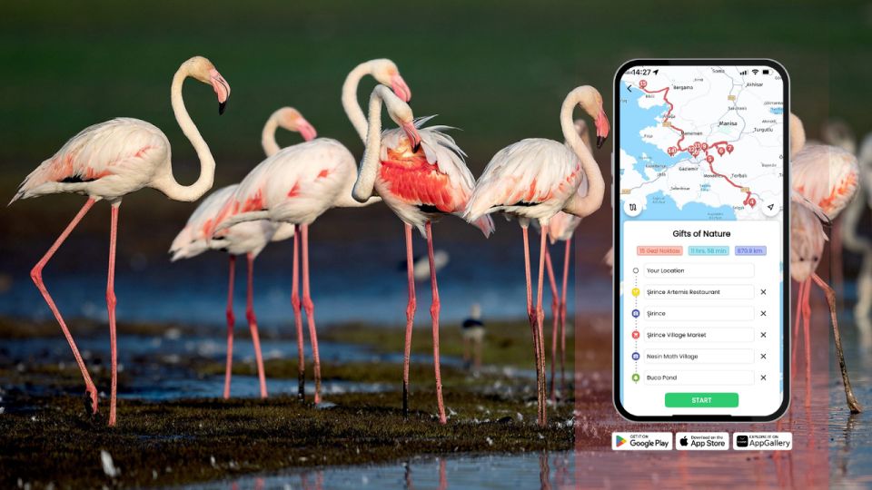 Izmir: Nature's Treasures With GeziBilen Digital Guide - Discover With Gezibilen Digital Guide