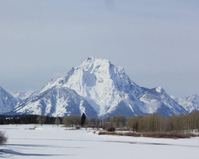 Jackson Hole : Grand Teton Winter Wildlife Tours For 1 To 4 - Tour Experience