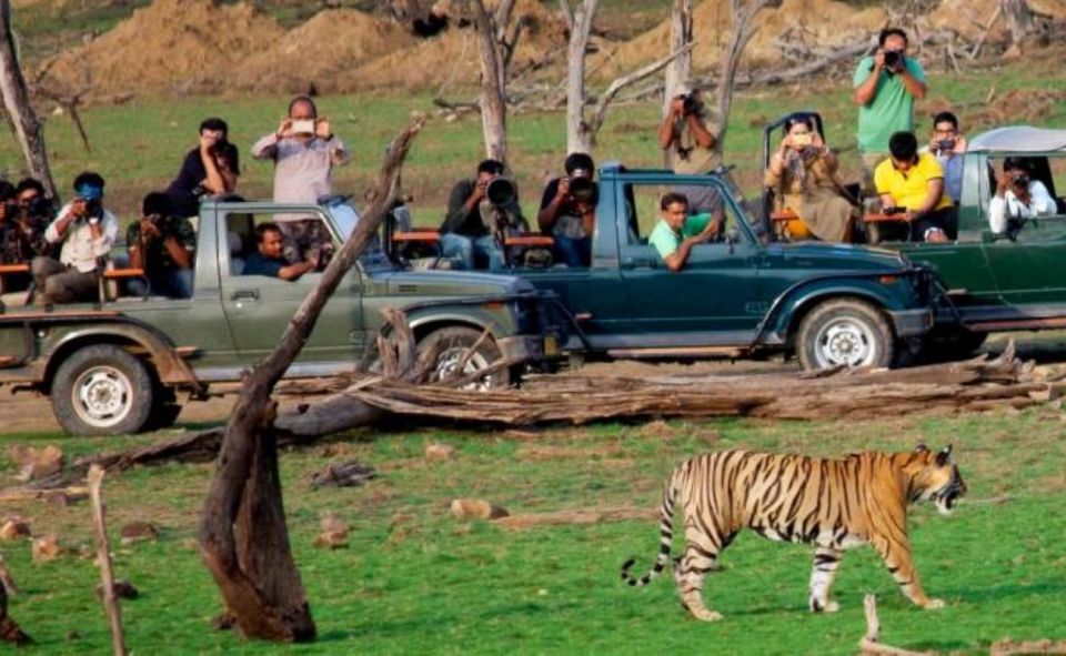 Jaipur: Ranthambore Private Guided Tour With Cab - Seamless Pick-up and Drive