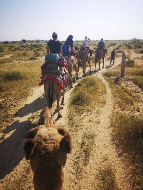 Jaisalmer Heritage Walking Tour With Professional Guide - Tour Highlights