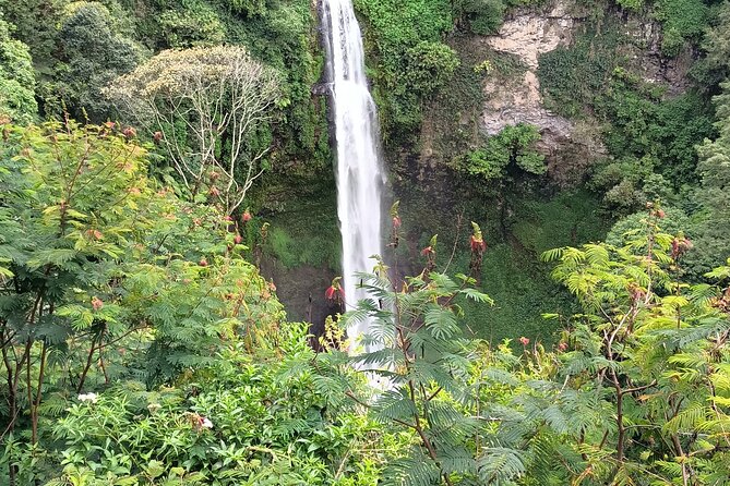 Jakarta Bogor Botanical Garden, Waterfall and Rice Terrace, Lunch - Price and Booking Information