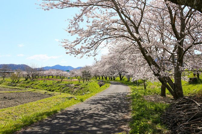 Japans Rural Life & Nature: Private Half Day Cycling Near Kyoto - Meeting Point and Logistics